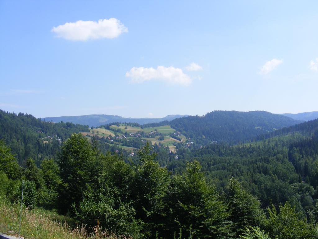 Rezydencja Prezydenta Rp Zamek W Wisle Wisła Exteriör bild